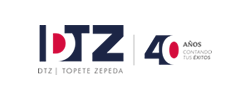 DTZ Topete Zepeda